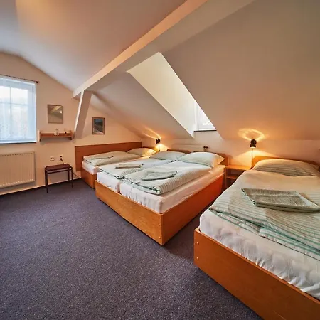 Rip Maison d'hôtes Pec pod Sněžkou