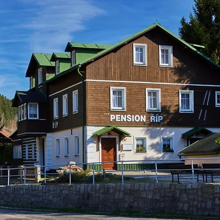 Maison d'hôtes Rip *
